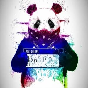 Meet your Posher, Celise